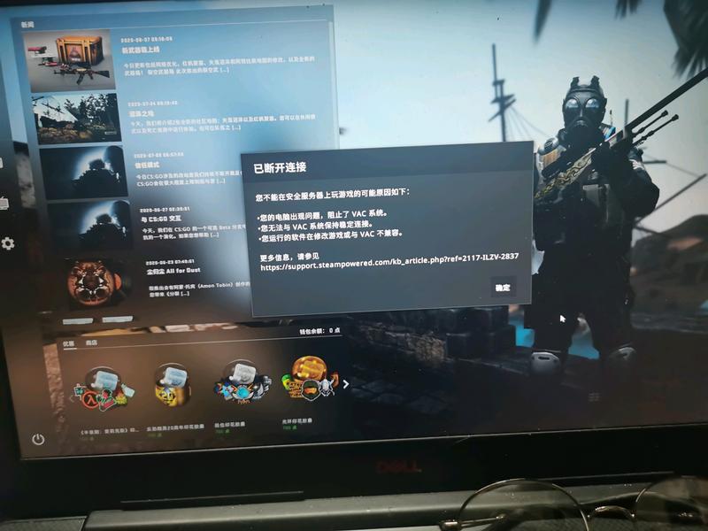 csgo无法在安全服务器游戏怎么解决，救救孩子吧！