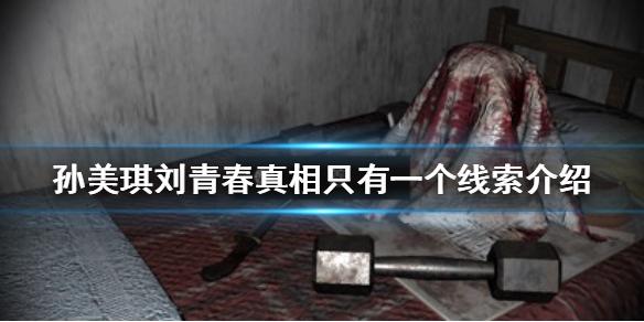 孙美琪疑案刘青春真相只有一个在哪 真相只有一个线索介绍