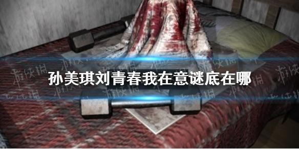孙美琪疑案刘青春我在意谜底在哪 线索我在意谜底线索介绍