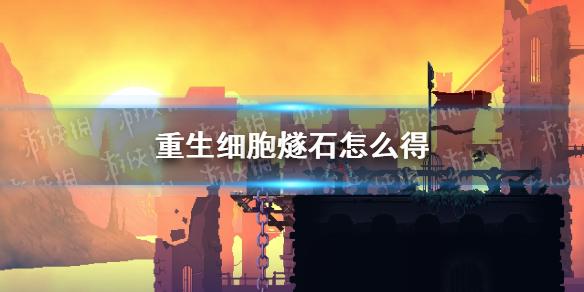 重生细胞燧石怎么得 近战武器燧石介绍