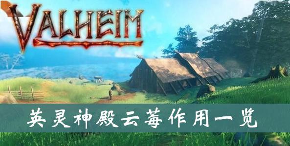 《英灵神殿》云莓作用一览
