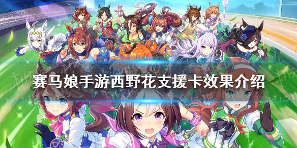 赛马娘手游西野花支援卡效果翻译 西野花支援卡效果是什么