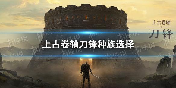 上古卷轴刀锋种族选择推荐 种族选什么好