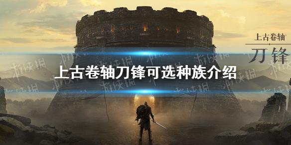 上古卷轴刀锋有什么种族 可选种族一览