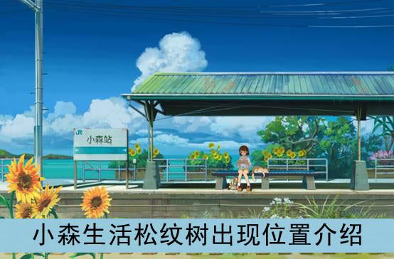 小森生活松纹树出现位置介绍