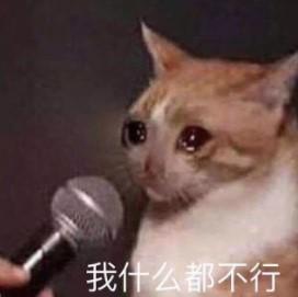 犯罪大师5月15日每日挑战答案是什么