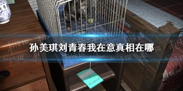 孙美琪疑案刘青春我在意真相在哪 我在意真相线索介绍