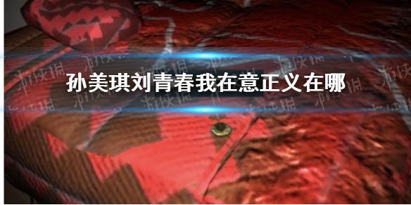 孙美琪疑案刘青春我在意正义在哪 我在意正义线索介绍