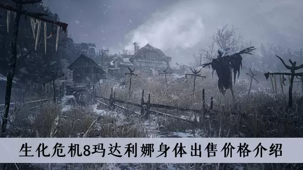 《生化危机8》玛达利娜身体出售价格介绍