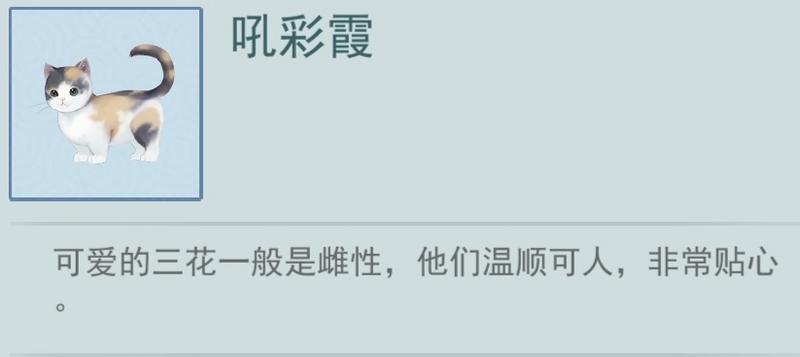 江湖悠悠第二只宠物怎么领养