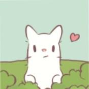 Cat & soup手机版