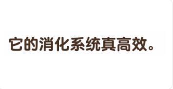 最厉害脑3第二十二关怎么过