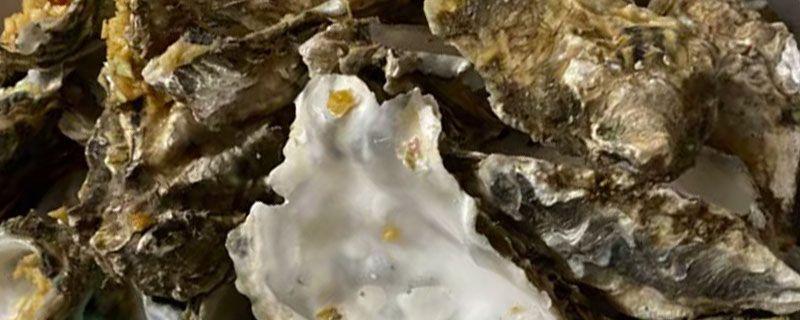 海蛎子冬天放室外多久