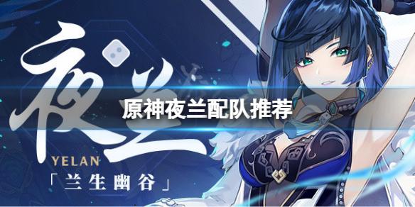 原神夜兰怎么配队