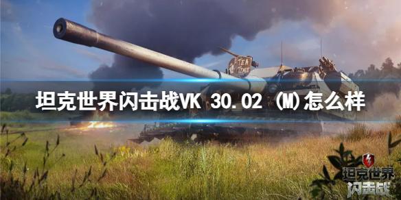 坦克世界闪击战VK 30.02 (M)怎么样 VK 30.02 (M)坦克图鉴