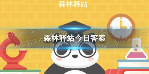 刚出生的大熊猫和下面哪个物体差不多重 森林驿站今日答案6月28日