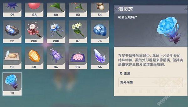 原神海灵芝位置