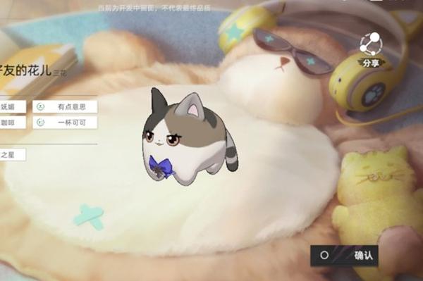 猫之城猫球训练方法