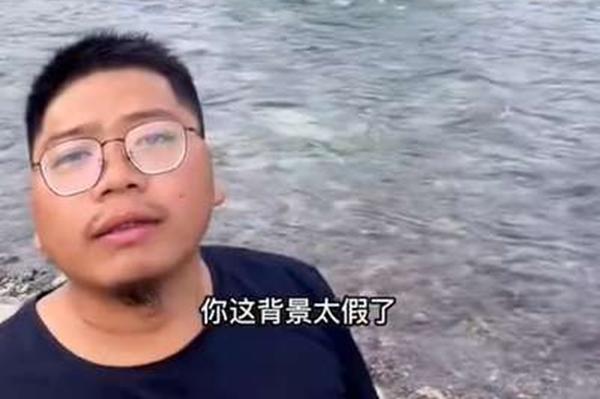 你这背景太假了来源出处介绍