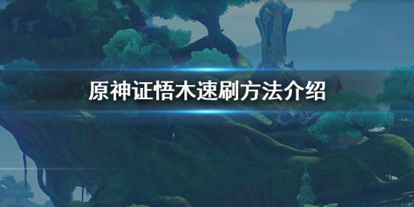 原神证悟木怎么速刷