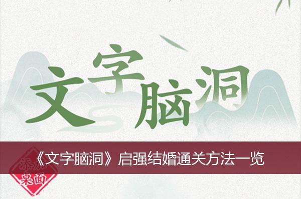 《文字脑洞》启强结婚通关方法一览