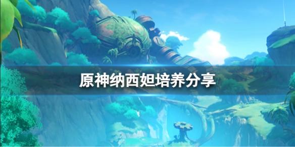 原神纳西妲培养分享