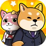 猫宅97正版