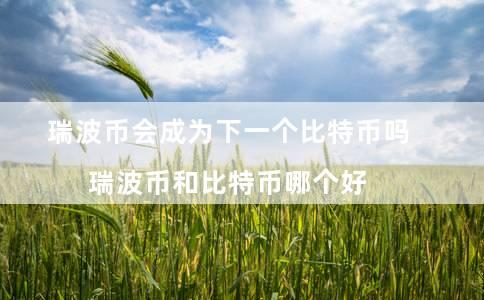 瑞波币会成为下一个比特币吗 瑞波币和比特币哪个好