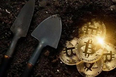 nft和shib币哪个更好 shib和nft哪个更有价值