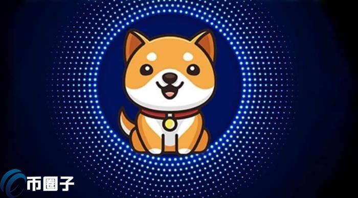 BABYDOGE币能超越SHIB币吗？BABYDOGE币价值分析