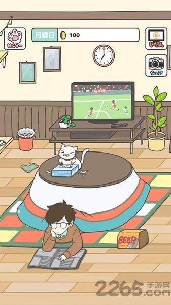 猫咪饲养日常图2