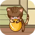 在线宠猫
