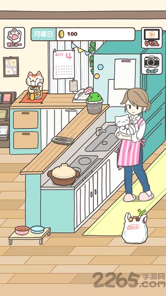 猫咪饲养日常图1