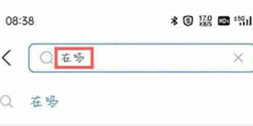 支付宝在吗怎么搜索