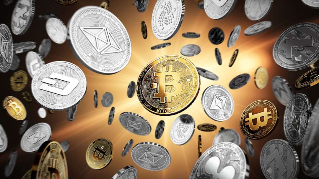 2025年最受欢迎的免费国外行情软件排行,最适合初学者的是哪款？