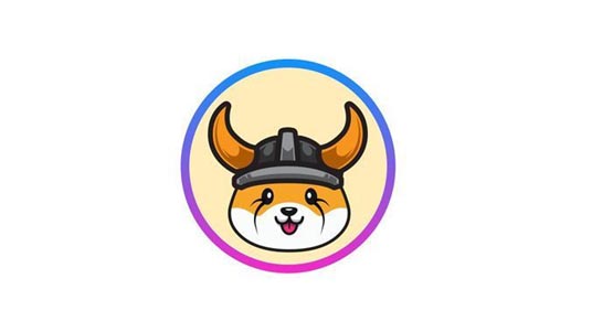 FLOKI币什么时候发行的？FLOKI币怎么样？