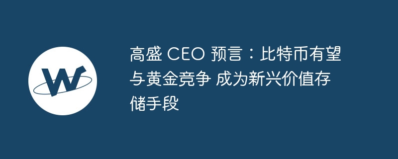 高盛 CEO 预言:比特币有望与黄金竞争 成为新兴价值存储手段