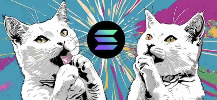 POPCAT币详解：Solana猫系迷因币的崛起