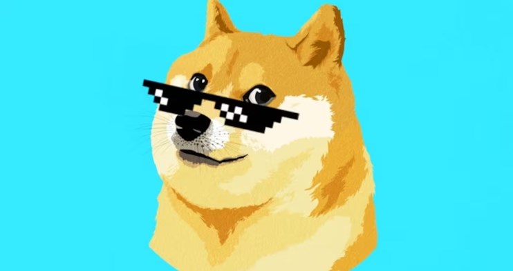 Doge币上架交易所全览及注意事项
