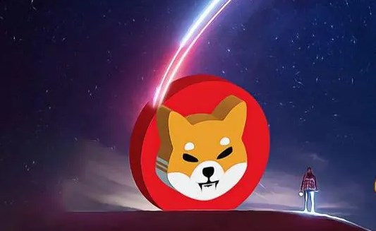 SHIB币与SHIK币无关联：详细解析