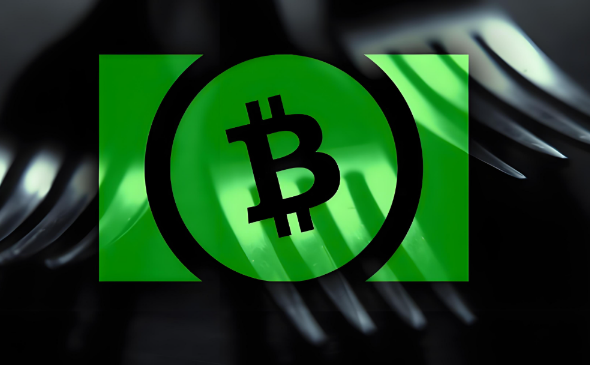 BCH分叉原因及作用深度解析