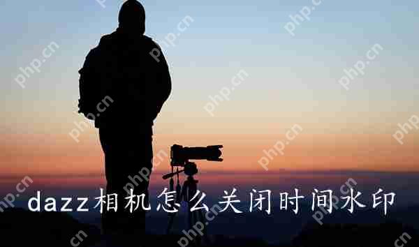 dazz相机关闭时间水印方法