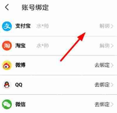大麦怎么开启免密支付