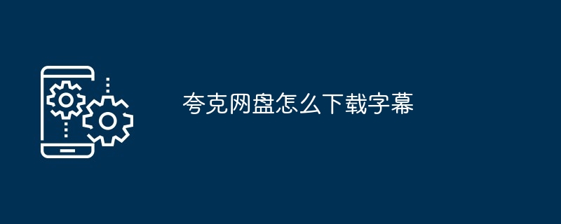 夸克网盘怎么下载字幕