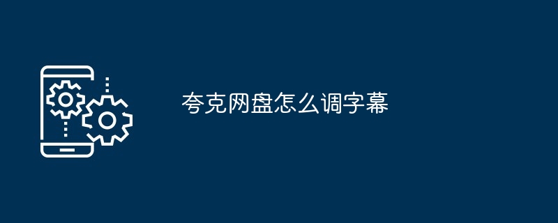夸克网盘怎么调字幕