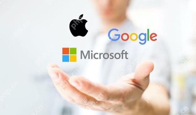 手机google 地图用不了怎么办