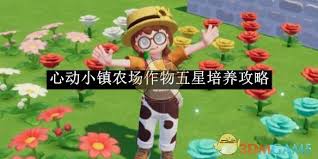 心动小镇春野令霞光迎春花如何种植