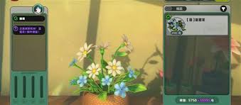 绝区零杜伊老爹的花艺委托怎么过