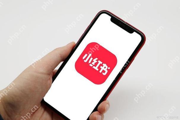 小红书如何发布问题让大家选择 选择题发布技巧
