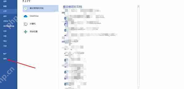 word怎么打开开发者选项